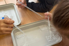 1_klases_petnieki_dabaszinibas-2