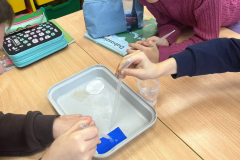 1_klases_petnieki_dabaszinibas-4