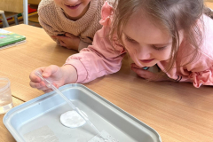 1_klases_petnieki_dabaszinibas-5