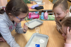 1_klases_petnieki_dabaszinibas-6