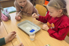 1_klases_petnieki_dabaszinibas-8