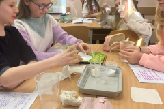 6_klases_eksperimente_dabaszinibas-3