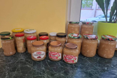 Labdaribas_akcija_abolu_davinajums-14