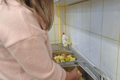 Labdaribas_akcija_abolu_davinajums-17