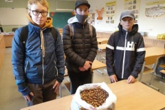 8.a