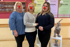 Smaids_rada_smaidu-2