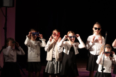 Valsts_svetku_koncerts-17