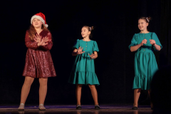 Ziemassvetku_koncerts-21